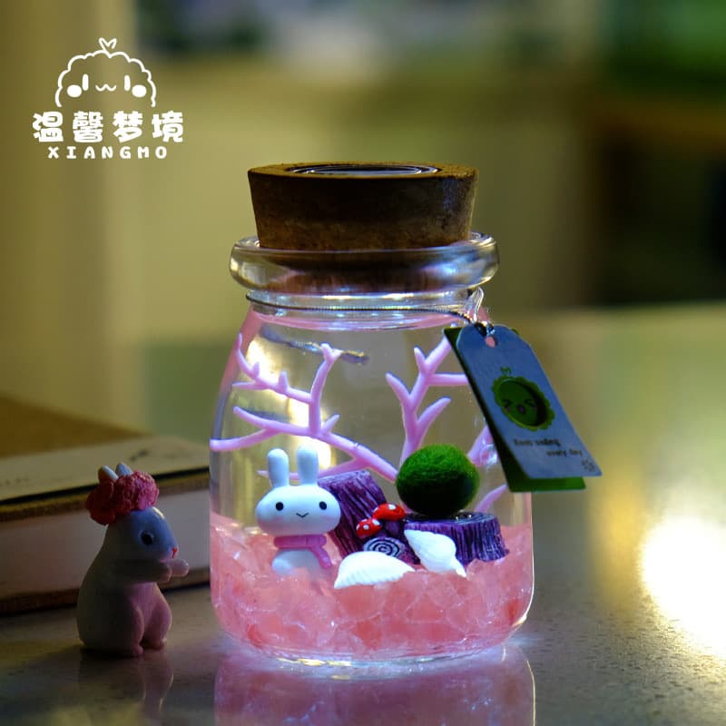 Marimo Moss Ball Eco Jar – Miniature Glass Plant for Home Decor & Creative Gift